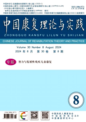 中国康复理论与实践封面